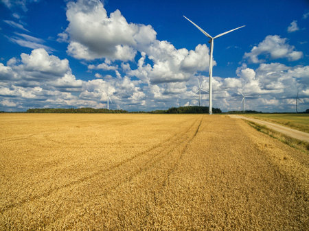 Windmill and Landscape with Wheat field in Lithuania, Mazeikiai district. Drone