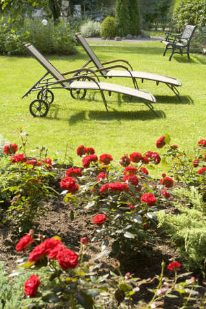 Deck chair in a green garden の写真素材