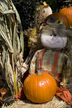 Strawdolls and Pumpkinsの写真素材