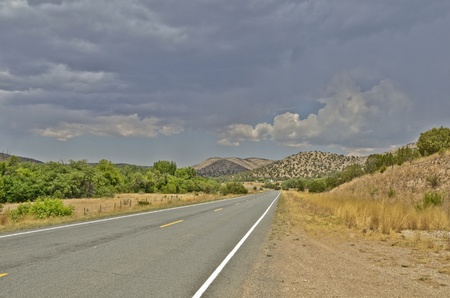 Long highway in New Mexico with trees and mountains