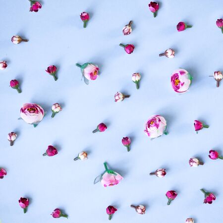 Abstract composition of spring flowers on blue background, place for text.の写真素材