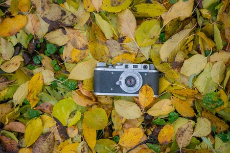 old camera in yellow foliageの写真素材