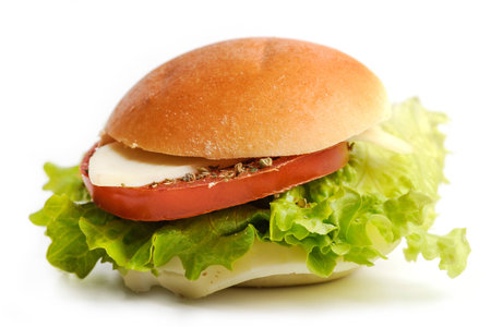 Sandwich stuffedの写真素材