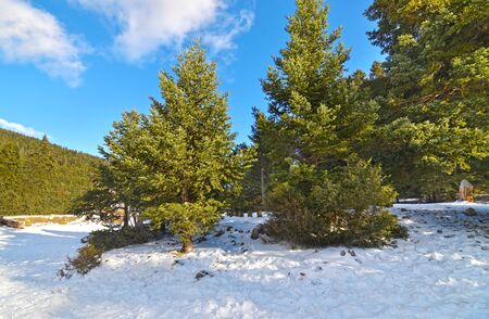 snowy Oeta mountain at central Greece - famous winter destinations