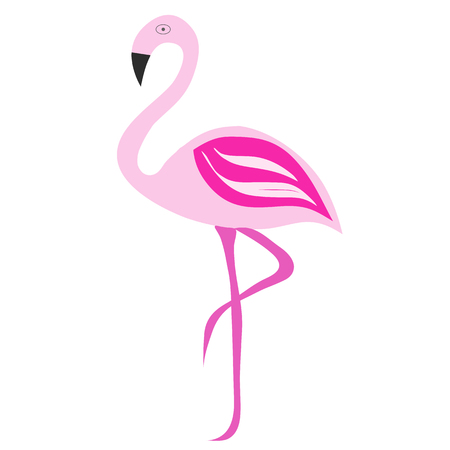 pink flamingo vector illustration on white backgroundのイラスト素材