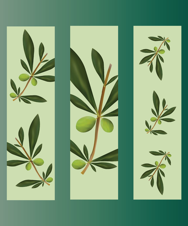 set of three bookmarks with olive trees vector - green floral themeのイラスト素材
