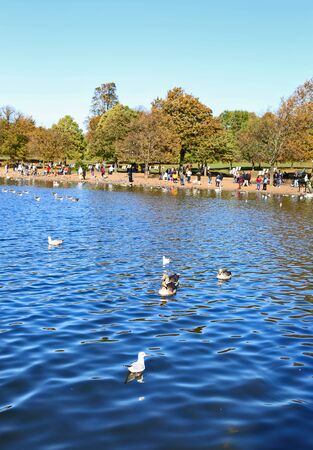 LONDON UNITED KINGDOM, OCTOBER 21 2018: landscape of the Hyde park in London city United Kingdom. Editorial use.のeditorial素材