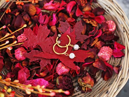 gold earrings with pearls on red autumn leaves - autumn fashion jewelry advertisementの写真素材