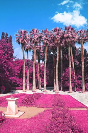 infrared photo of the National Garden of Athens Greeceの写真素材