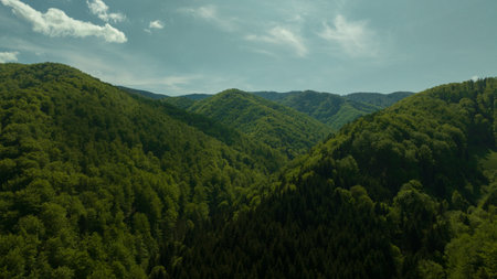 Aerial view of the mountains and forests in the Carpathiansの写真素材