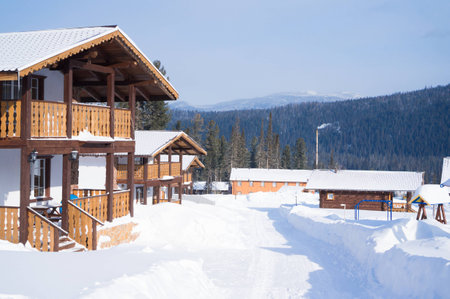 The settlement of the low-rise house is surrounded by a winter forest.