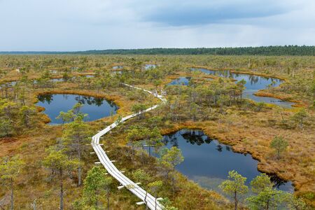Beautiful Small lake in Kemeri National Park, Kemeri, Latvia with a sky reflection in water surface