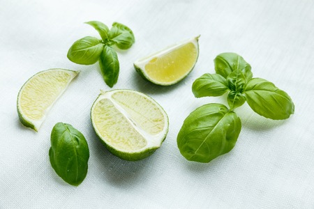 Fresh basil and lime on white backgroundの写真素材