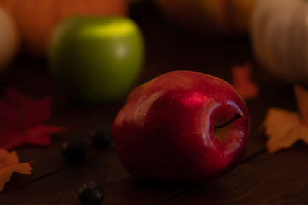 Harvest scene with assorted pumpkins apples and berries.の写真素材