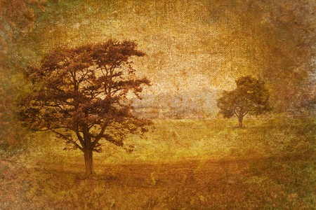 tree motive on old vintage backgroundの写真素材