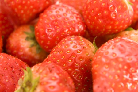 sweet juicy strawberryの写真素材