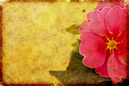 old paper backgroundの写真素材