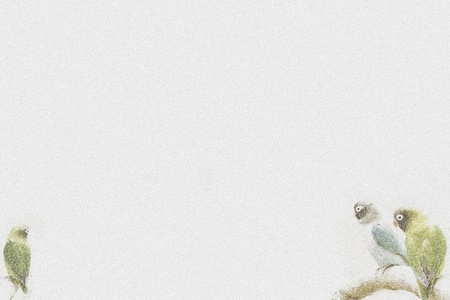 note paper with parrot motiveの写真素材