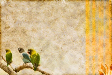 vintage grunge paper with parrot motiveの写真素材