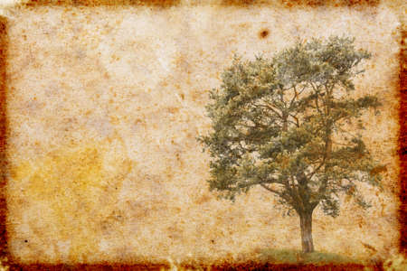 vintage style paper background の写真素材