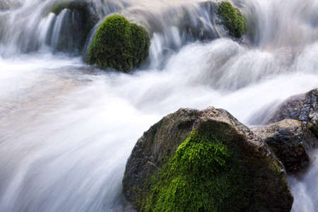 lovely and magical water stream