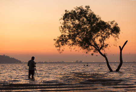 photographer taking sillhoutte of tree during sunsetの写真素材