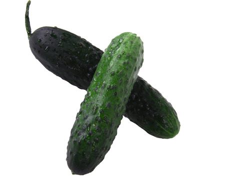 cucumberの写真素材