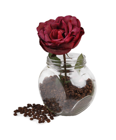 rose in jar with coffee beansの写真素材