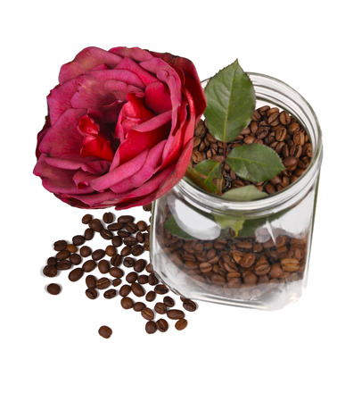 rose in jar with coffee beansの写真素材