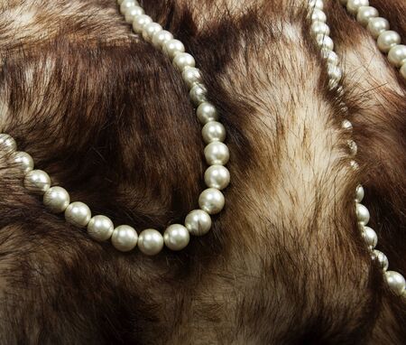 fur and beadsの写真素材