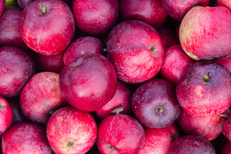 bunch of red apples background textureの写真素材