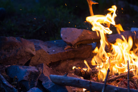 Bright bonfire in green summer forest in camp