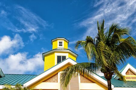green palm tree in windy weather near yellow building house roof in summer sunny day outdoor on cloudy blue sky backgroundの写真素材