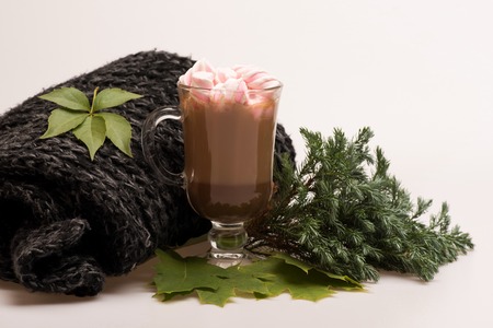 Marshmallow with hot chockolate in glass, scarf, pine branch and maple leaves on white background....