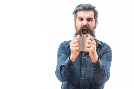 handsome bearded fashion man with stylish hair mustache and long beard screaming and hoilding metallic flask isolated on whiteの写真素材