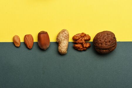Different kinds of nuts of peanuts, almonds, hazelnuts and walnuts on colorful backgroundの写真素材