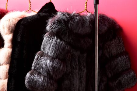 fashionable luxurious waist coats of fur hanging on rack on golden hangers on red studio backgroundの写真素材