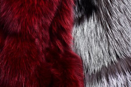fashion fluffy grey and burgundy or red fur textured backgroundの写真素材