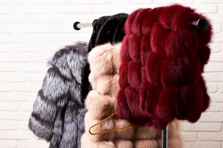 fashionable luxurious waist coats of fur hanging on rack on golden hangers on brick wall studio backgroundの写真素材