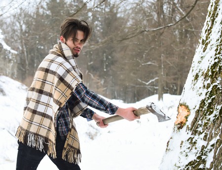 Handsome man or young lumberjack with beard wrapped in plaid blanket cuts tree with axe in snowy forest on winter day outdoors on natural backgroundの写真素材