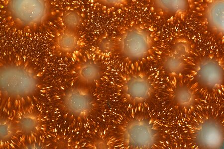 brown glitter made by bokeh effect abstract background, copy space