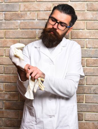 Bearded man, long beard. Brutal caucasian doctor or unshaven hipster, postgraduate student in medical gown and glasses wearing gloves on beige brick wall studio background. Medicine conceptの写真素材