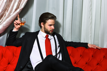 bearded man, businessman, long beard, brutal caucasian hipster with moustache holding glass with whiskey has serious face, unshaven guy with stylish hair in suit and red tie sitting on sofaの写真素材