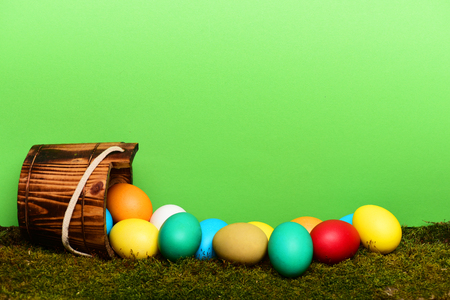 easter colorful eggs painted in bright colors in wooden bucket, pail on green background with moss, spring holiday celebration, copy spaceの写真素材
