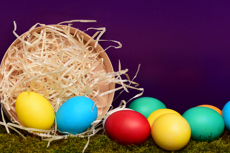 easter colorful eggs painted in bright colors with straw nest in wooden box on violet background...