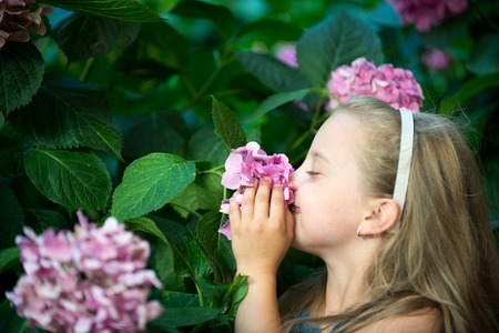 small baby girl or cute child with adorable smiling face and blonde hair among pink spring hydrangea flower blossom with green leaves outdoor on natural backgroundの写真素材
