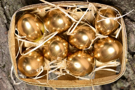 banking and financial concept, box or tray with traditional eggs painted in golden metallic color on tree bark background. Easter, luxury and success, future life, riches and treasure, retirementの写真素材