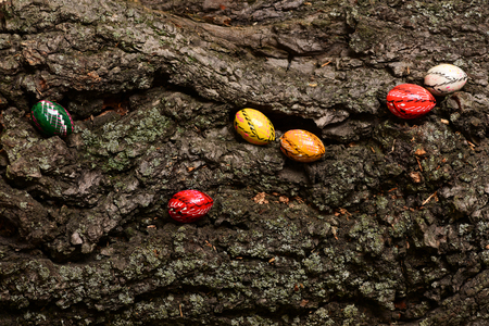 set of colorful happy easter handmade eggs on bark wooden background. Happy Easter concept