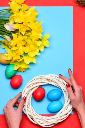 woman holding in hands handmade colorful painted easter eggs in white wooden wreath near yellow narcissus flower on blue paper and red background. spring holiday celebration. future lifeの写真素材