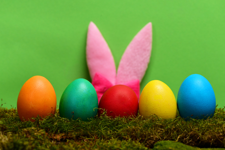 set of colorful handmade eggs with pink rabbit ears on moss on green studio background. Happy Easter conceptの写真素材